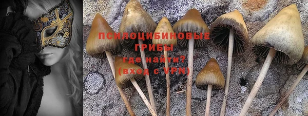 mix Горнозаводск