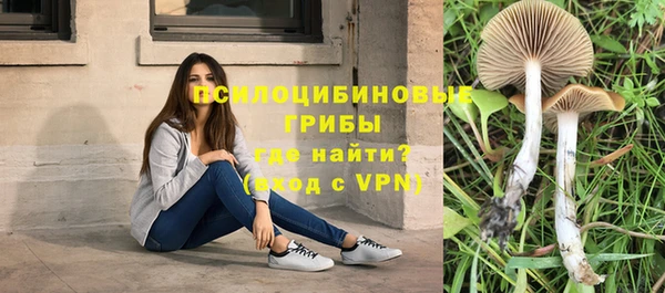 скорость Горняк
