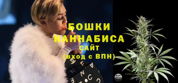 гидропоника Дмитриев
